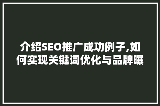 介绍SEO推广成功例子,如何实现关键词优化与品牌曝光双赢