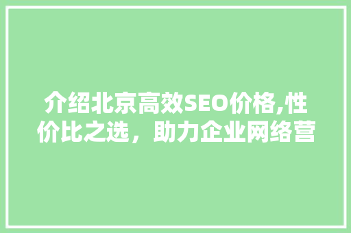 介绍北京高效SEO价格,性价比之选，助力企业网络营销