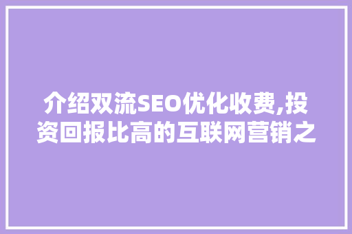介绍双流SEO优化收费,投资回报比高的互联网营销之路