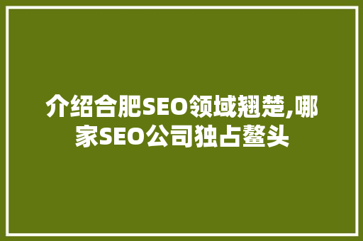 介绍合肥SEO领域翘楚,哪家SEO公司独占鳌头