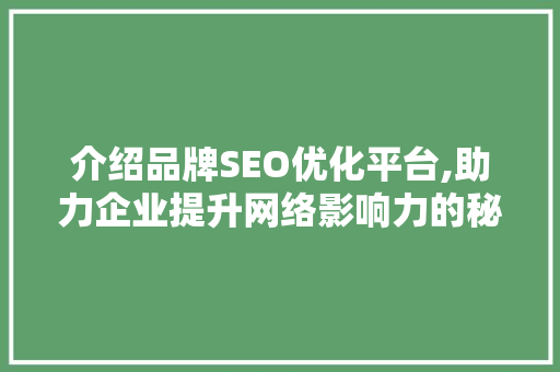 介绍品牌SEO优化平台,助力企业提升网络影响力的秘密武器