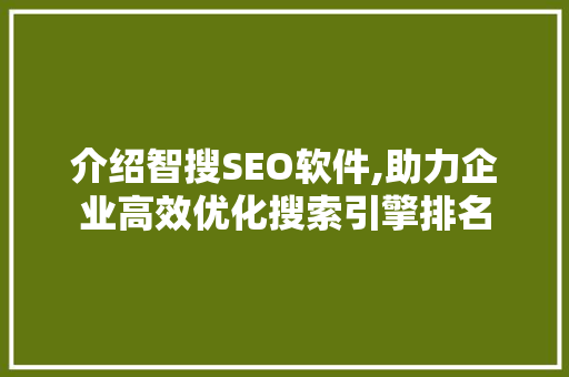 介绍智搜SEO软件,助力企业高效优化搜索引擎排名