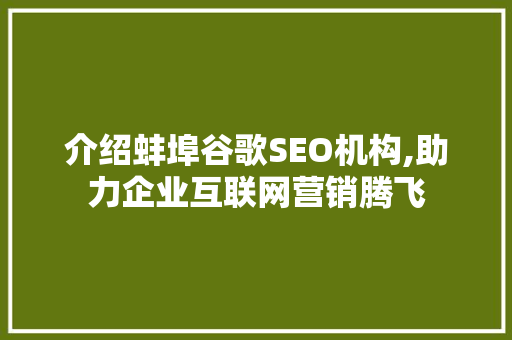 介绍蚌埠谷歌SEO机构,助力企业互联网营销腾飞