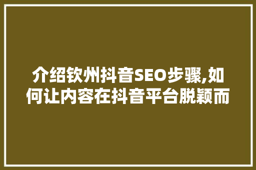 介绍钦州抖音SEO步骤,如何让内容在抖音平台脱颖而出