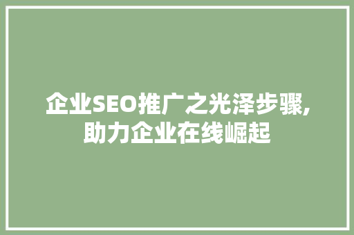 企业SEO推广之光泽步骤,助力企业在线崛起