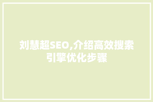 刘慧超SEO,介绍高效搜索引擎优化步骤