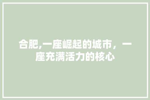 合肥,一座崛起的城市，一座充满活力的核心
