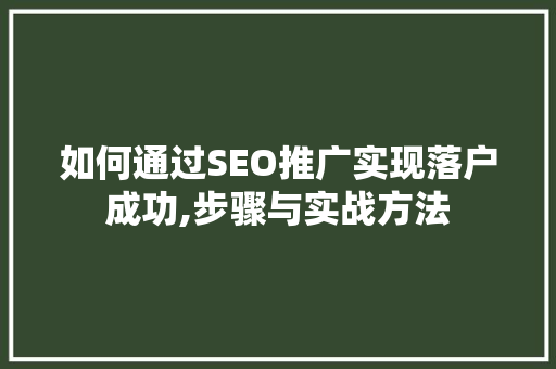 如何通过SEO推广实现落户成功,步骤与实战方法