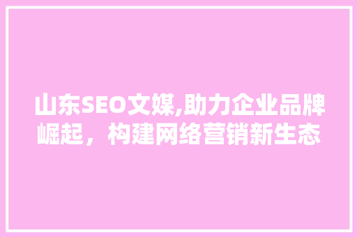 山东SEO文媒,助力企业品牌崛起，构建网络营销新生态