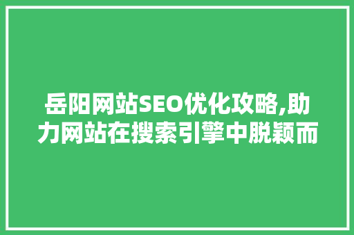 岳阳网站SEO优化攻略,助力网站在搜索引擎中脱颖而出