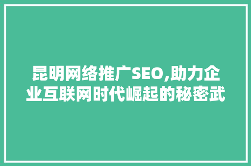 昆明网络推广SEO,助力企业互联网时代崛起的秘密武器