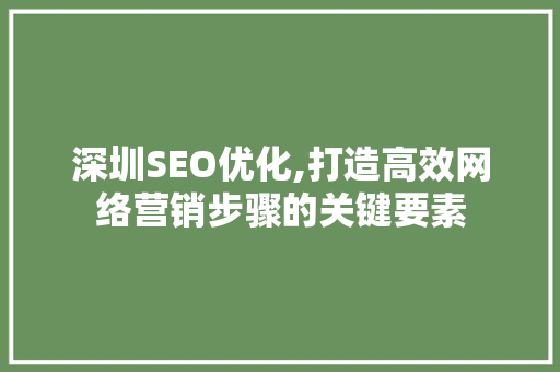 深圳SEO优化,打造高效网络营销步骤的关键要素  第1张