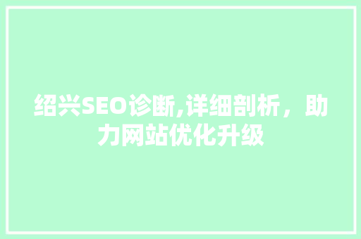 绍兴SEO诊断,详细剖析，助力网站优化升级