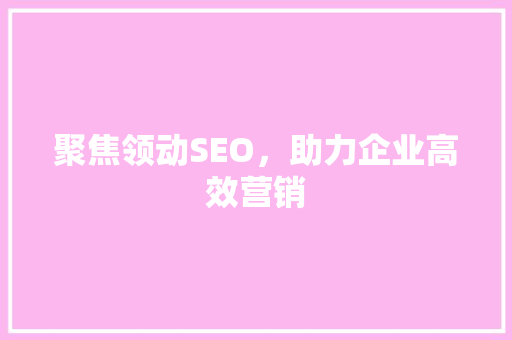 聚焦领动SEO，助力企业高效营销
