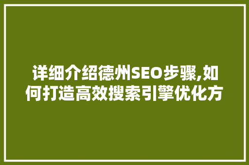 详细介绍德州SEO步骤,如何打造高效搜索引擎优化方法