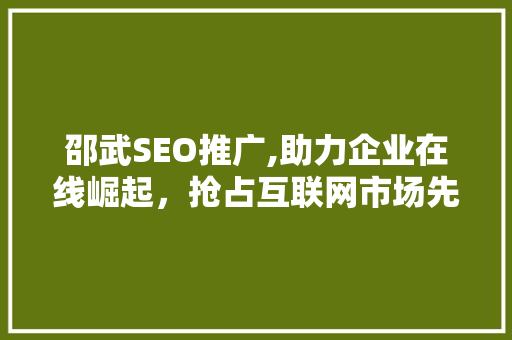 邵武SEO推广,助力企业在线崛起，抢占互联网市场先机