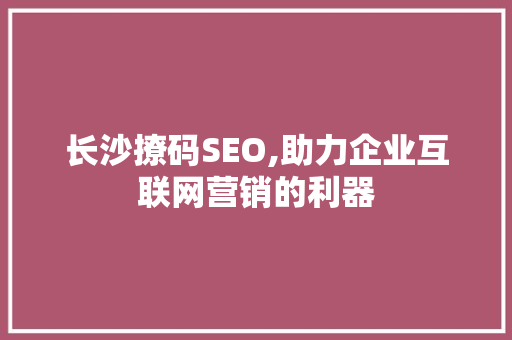 长沙撩码SEO,助力企业互联网营销的利器