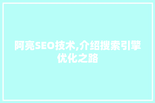 阿亮SEO技术,介绍搜索引擎优化之路