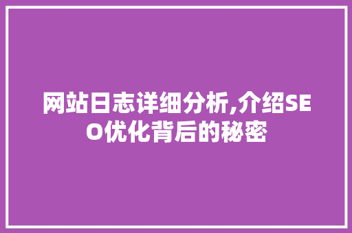 网站日志详细分析,介绍SEO优化背后的秘密