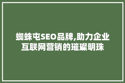 蜘蛛屯SEO品牌,助力企业互联网营销的璀璨明珠  第1张