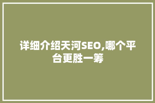 详细介绍天河SEO,哪个平台更胜一筹