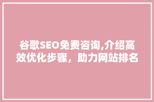 谷歌SEO免费咨询,介绍高效优化步骤，助力网站排名飙升！