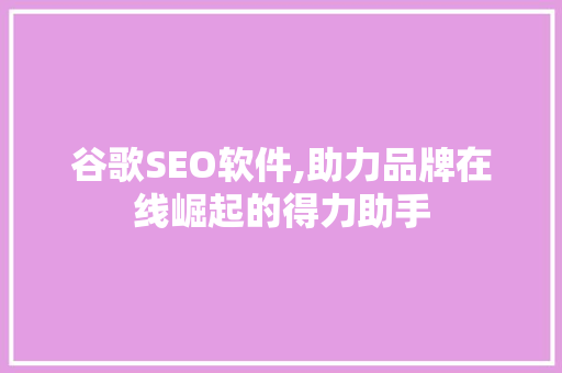谷歌SEO软件,助力品牌在线崛起的得力助手