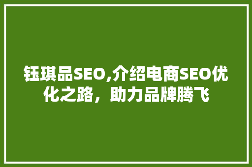 钰琪品SEO,介绍电商SEO优化之路，助力品牌腾飞