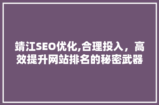 靖江SEO优化,合理投入，高效提升网站排名的秘密武器