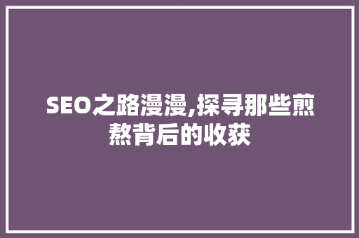 SEO之路漫漫,探寻那些煎熬背后的收获