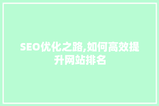 SEO优化之路,如何高效提升网站排名