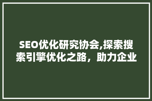 SEO优化研究协会,探索搜索引擎优化之路，助力企业互联网营销