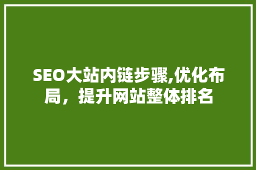 SEO大站内链步骤,优化布局，提升网站整体排名