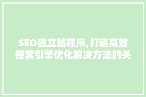 SEO独立站程序,打造高效搜索引擎优化解决方法的关键