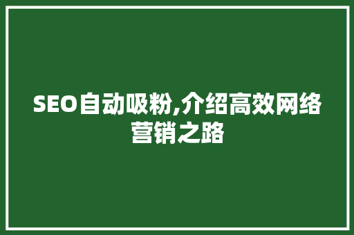 SEO自动吸粉,介绍高效网络营销之路