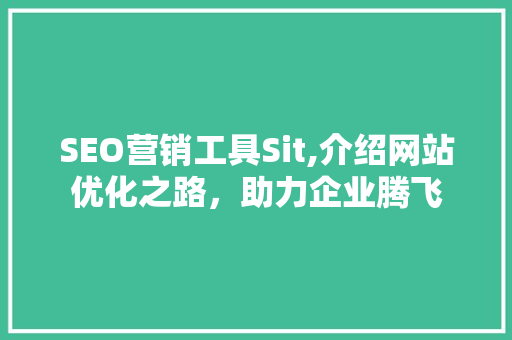 SEO营销工具Sit,介绍网站优化之路，助力企业腾飞