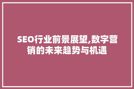 SEO行业前景展望,数字营销的未来趋势与机遇