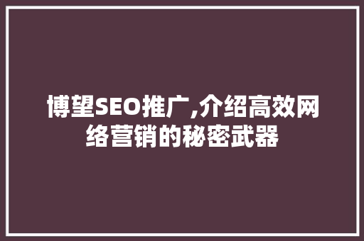 博望SEO推广,介绍高效网络营销的秘密武器