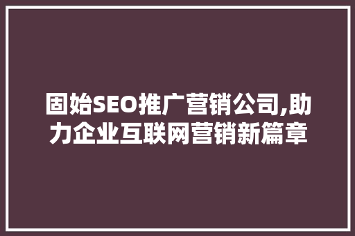 固始SEO推广营销公司,助力企业互联网营销新篇章