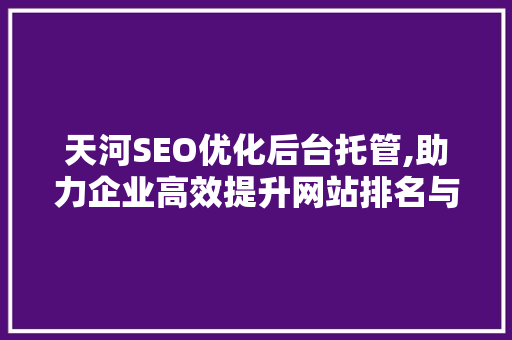 天河SEO优化后台托管,助力企业高效提升网站排名与流量