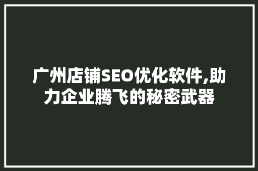广州店铺SEO优化软件,助力企业腾飞的秘密武器
