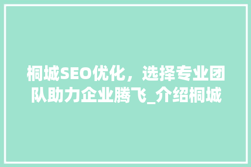 桐城SEO优化，选择专业团队助力企业腾飞_介绍桐城地区最佳SEO优化服务提供商