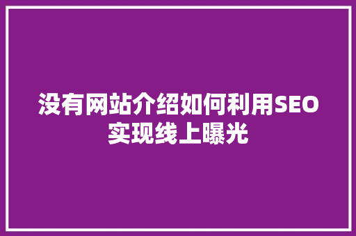 没有网站介绍如何利用SEO实现线上曝光