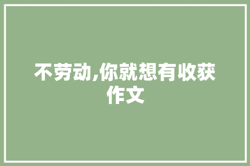 浙江SEO网站开发,助力企业网络营销新篇章