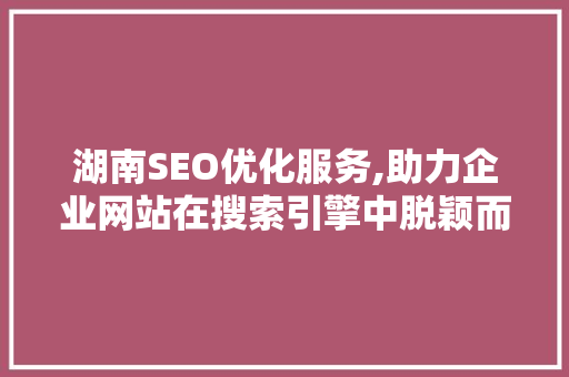 湖南SEO优化服务,助力企业网站在搜索引擎中脱颖而出  第1张