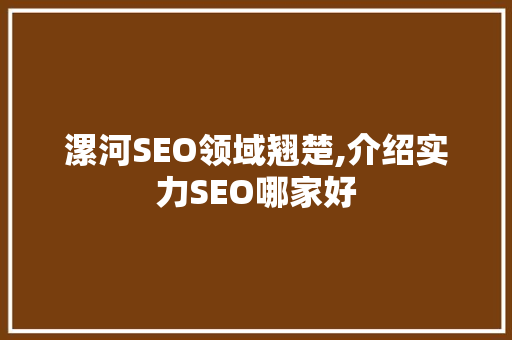 漯河SEO领域翘楚,介绍实力SEO哪家好