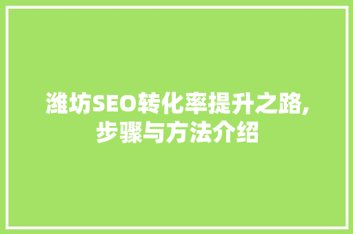潍坊SEO转化率提升之路,步骤与方法介绍