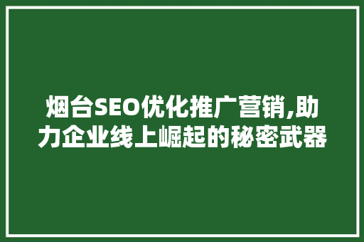 烟台SEO优化推广营销,助力企业线上崛起的秘密武器