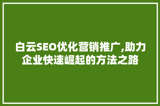 白云SEO优化营销推广,助力企业快速崛起的方法之路