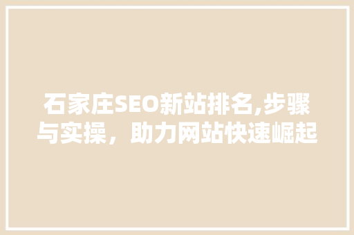 石家庄SEO新站排名,步骤与实操，助力网站快速崛起